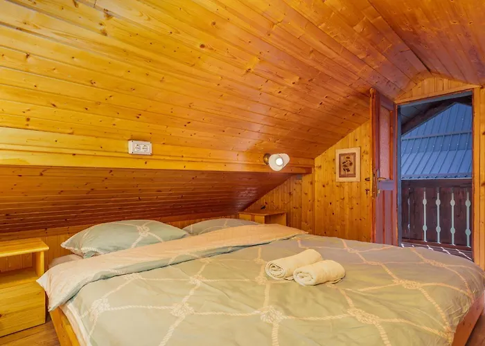 Cozy In With Wifi