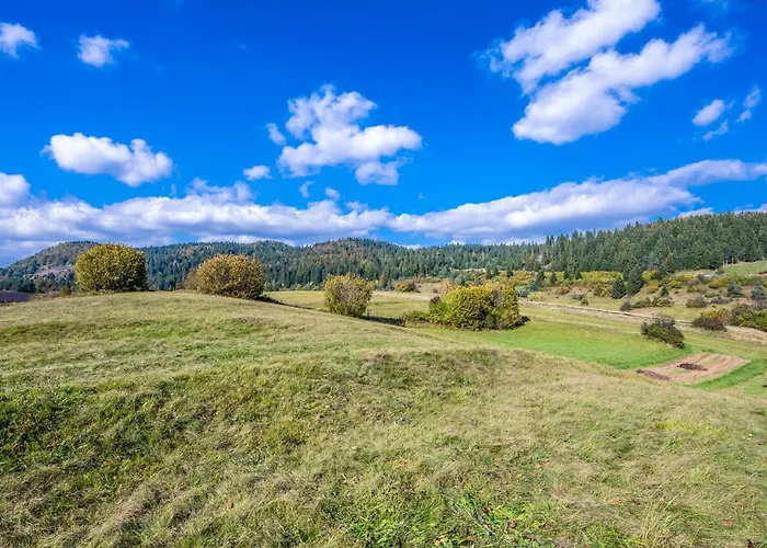 Feriehus Cozy In With Wifi