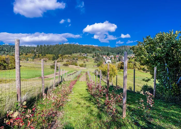 Feriehus Cozy In With Wifi